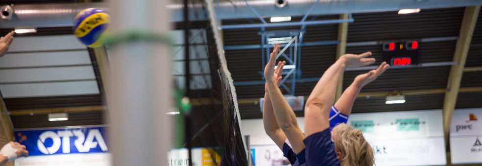 Volleyballserie